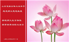 山东大法弟子庆祝世界法轮大法日(109条)