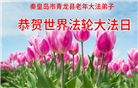 河北大法弟子庆祝世界法轮大法日(125条)