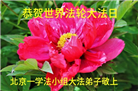 北京大法弟子庆祝世界法轮大法日(120条)