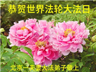 河北大法弟子庆祝世界法轮大法日(125条)
