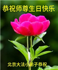 幸运得法真善忍　大法小弟子真诚谢师恩(79条)