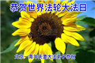 北京大法弟子庆祝世界法轮大法日(120条)