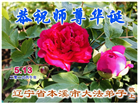 精進实修谢师恩　辽宁大法弟子庆贺世界法轮大法日(110条)