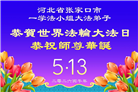 河北大法弟子庆祝世界法轮大法日(119条)