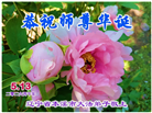 精進实修谢师恩　辽宁大法弟子庆贺世界法轮大法日(110条)