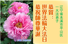 精進实修谢师恩　辽宁大法弟子庆贺世界法轮大法日(110条)