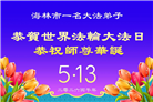黑龙江大法弟子庆祝世界法轮大法日(110条)