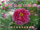山东大法弟子庆祝世界法轮大法日(124条)