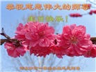 河北大法弟子庆祝世界法轮大法日(106条)