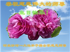 河北大法弟子庆祝世界法轮大法日(106条)