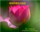 山东大法弟子庆祝世界法轮大法日(124条)