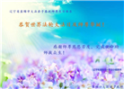 辽宁大法弟子庆祝世界法轮大法日(120条)