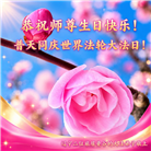 辽宁大法弟子庆祝世界法轮大法日(120条)