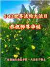广东、广西、海南、湖南、江苏大法弟子庆祝世界法轮大法日(112条)