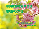 北京大法弟子庆祝世界法轮大法日(110条)