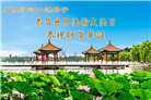 北京大法弟子庆祝世界法轮大法日(110条)