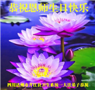大陆多行业大法弟子同庆同贺世界法轮大法日(60条)