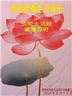 “惟愿师尊笑” 山东大法弟子献上纯净的祝福(185条)
