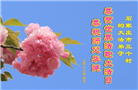 石家庄大法弟子庆祝世界法轮大法日(147条)