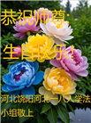 河北大法弟子庆祝世界法轮大法日(103条)