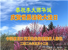 黑龙江大法弟子庆祝世界法轮大法日(110条)