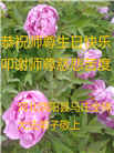 在佛恩浩荡中前行　河北大法弟子敬谢师恩(100条)