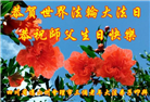 四川大法弟子庆祝世界法轮大法日(156条)