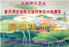 湖北大法弟子庆祝世界法轮大法日(110条)