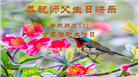 四川大法弟子庆祝世界法轮大法日(156条)