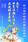 四川大法弟子庆祝世界法轮大法日(106条)