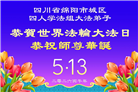 四川大法弟子庆祝世界法轮大法日(156条)