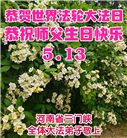 河南大法弟子庆祝世界法轮大法日(106条)