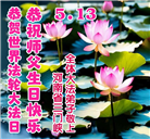 河南大法弟子庆祝世界法轮大法日(106条)