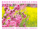 重庆大法弟子庆祝世界法轮大法日(53条)