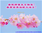 山东大法弟子庆祝世界法轮大法日(127条)