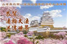 山东大法弟子庆祝世界法轮大法日(127条)