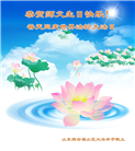 山东大法弟子庆祝世界法轮大法日(127条)
