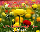 欧洲七国大法弟子恭贺世界法轮大法日