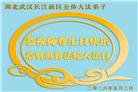 湖北大法弟子庆祝世界法轮大法日(110条)