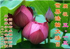 四川大法弟子庆祝世界法轮大法日(161条)