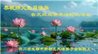 四川大法弟子庆祝世界法轮大法日(161条)