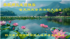 四川大法弟子庆祝世界法轮大法日(161条)
