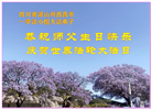 四川大法弟子庆祝世界法轮大法日(161条)