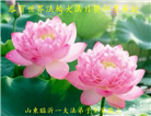 精進实修　兑现誓约　山东弟子恭贺大法日(117条)