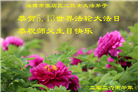 山东大法弟子庆祝世界法轮大法日(124条)