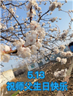 大陆大法弟子庆祝世界法轮大法日(106条)