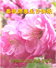 哈尔滨大法弟子庆祝世界法轮大法日(112条)