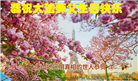 明真相世人庆祝世界法轮大法日(84条)