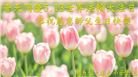 大法小弟子庆祝世界法轮大法日(77条)