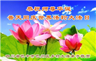 乡村大法弟子庆祝世界法轮大法日(79条)